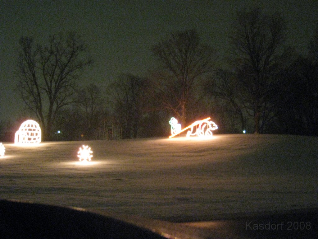 Christmas Lights Hines Drive 2008 046.jpg - The 2008 Wayne County Hines Drive Christmas Light Display. 4.5 miles of Christmas Light Displays and lots of animation!